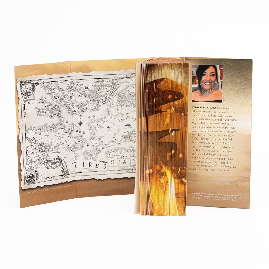 Weitere Ansicht: City of Ash and Ruin | Charissa Weaks