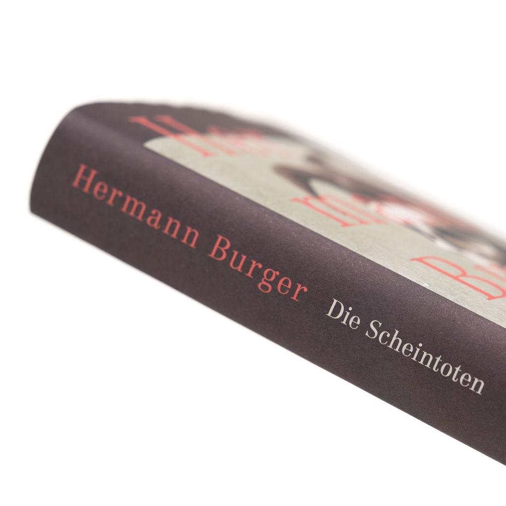 Weitere Ansicht: Die Scheintoten | Hermann Burger