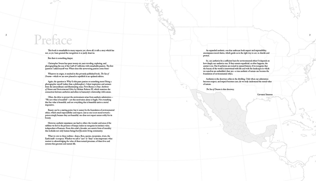 Weitere Ansicht: The Sea of Dreams | Christopher Swann