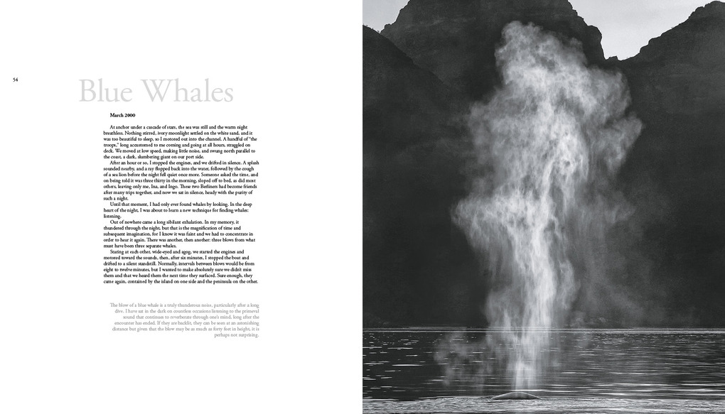 Weitere Ansicht: The Sea of Dreams | Christopher Swann