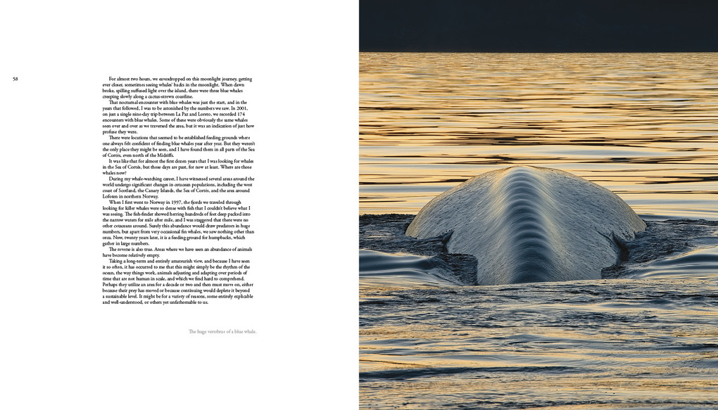 Weitere Ansicht: The Sea of Dreams | Christopher Swann