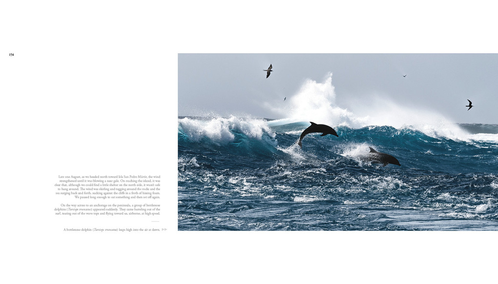 Weitere Ansicht: The Sea of Dreams | Christopher Swann