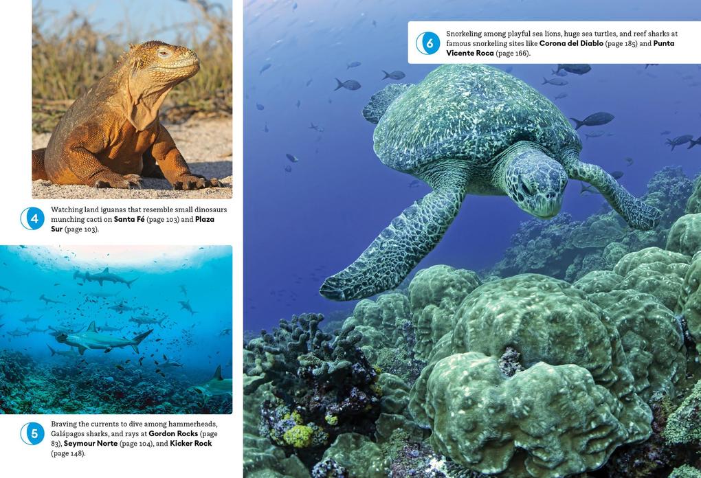 Weitere Ansicht: Moon Galápagos Islands (Fifth Edition) | Lisa Cho Burns