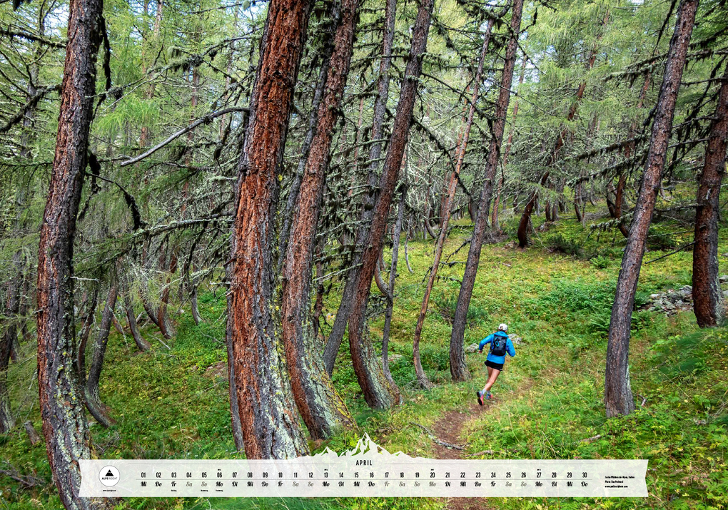 Weitere Ansicht: Best of Running 2026