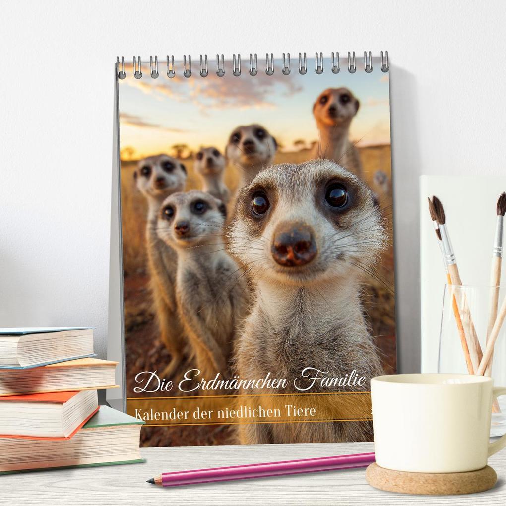 Weitere Ansicht: Die Erdmännchen Familie - Kalender der niedlichen Tiere (Tischkalender 2026 DIN A5 hoch), CALVENDO Monatskalender | MB Fotografie, Calvendo