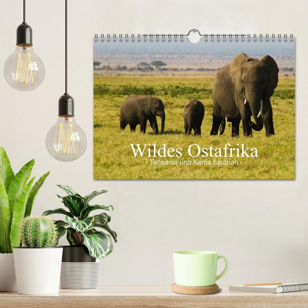 Weitere Ansicht: Wildes Ostafrika - Tansania und Kenia hautnah (Wandkalender 2026 DIN A4 quer), CALVENDO Monatskalend | Sarah W. Fotografie, Calvendo