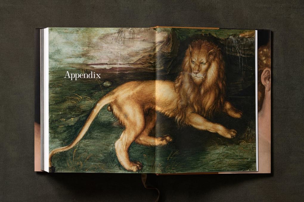 Weitere Ansicht: Albrecht Dürer. Sämtliche Gemälde. Ausgewählte Zeichnungen und Druckgrafiken | Christof Metzger, Julia Zaunbauer, Karl Schütz