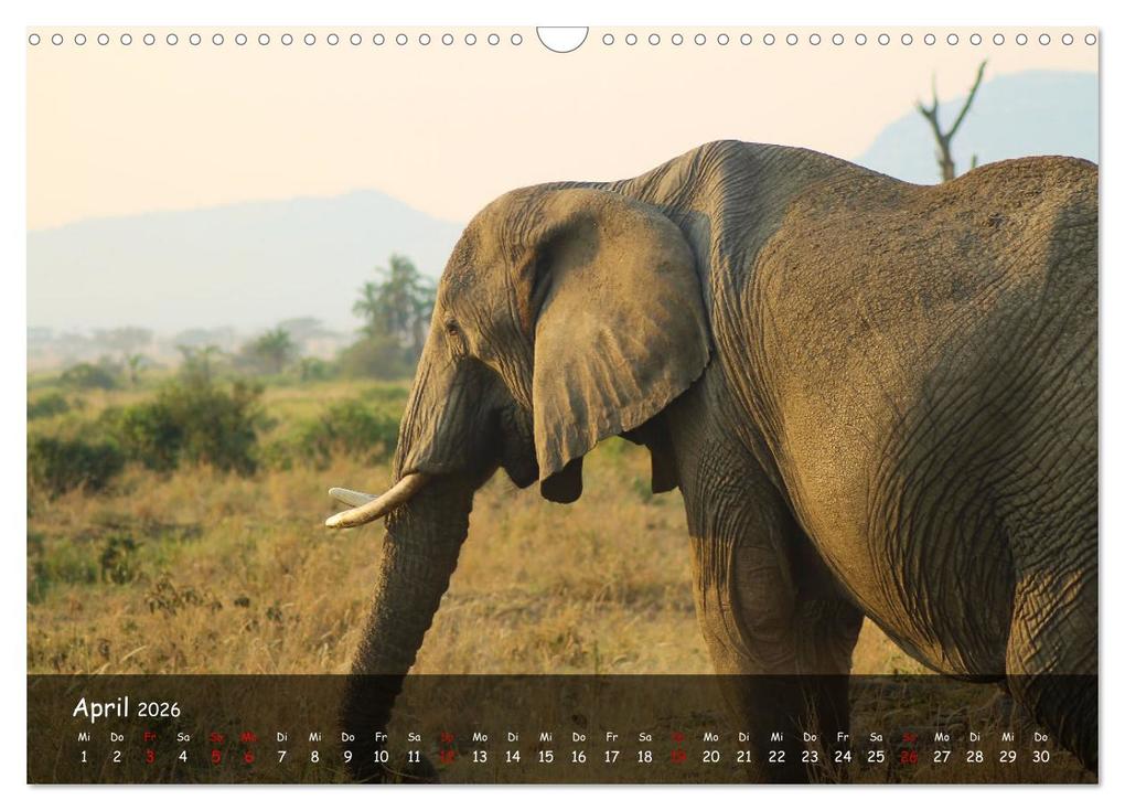 Weitere Ansicht: Wildes Ostafrika - Tansania und Kenia hautnah (Wandkalender 2026 DIN A3 quer), CALVENDO Monatskalend | Sarah W. Fotografie, Calvendo