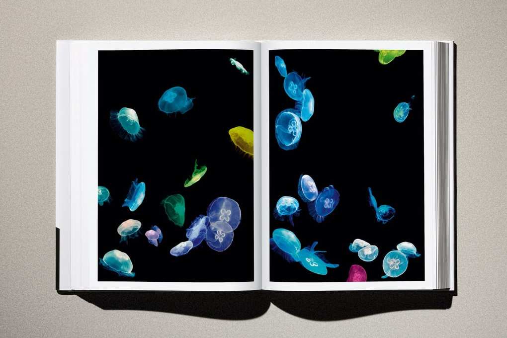 Weitere Ansicht: Albert Watson. Kaos