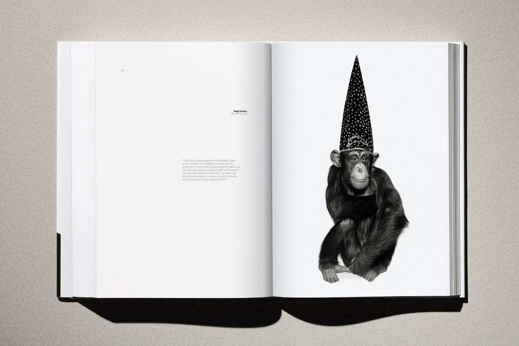 Weitere Ansicht: Albert Watson. Kaos