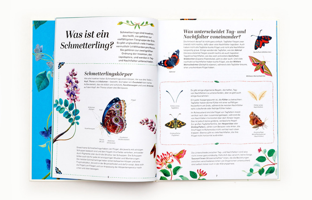 Weitere Ansicht: Schmetterlinge | Jon Dunn