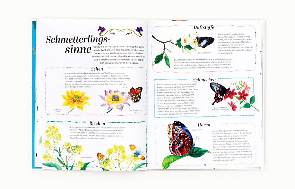 Weitere Ansicht: Schmetterlinge | Jon Dunn