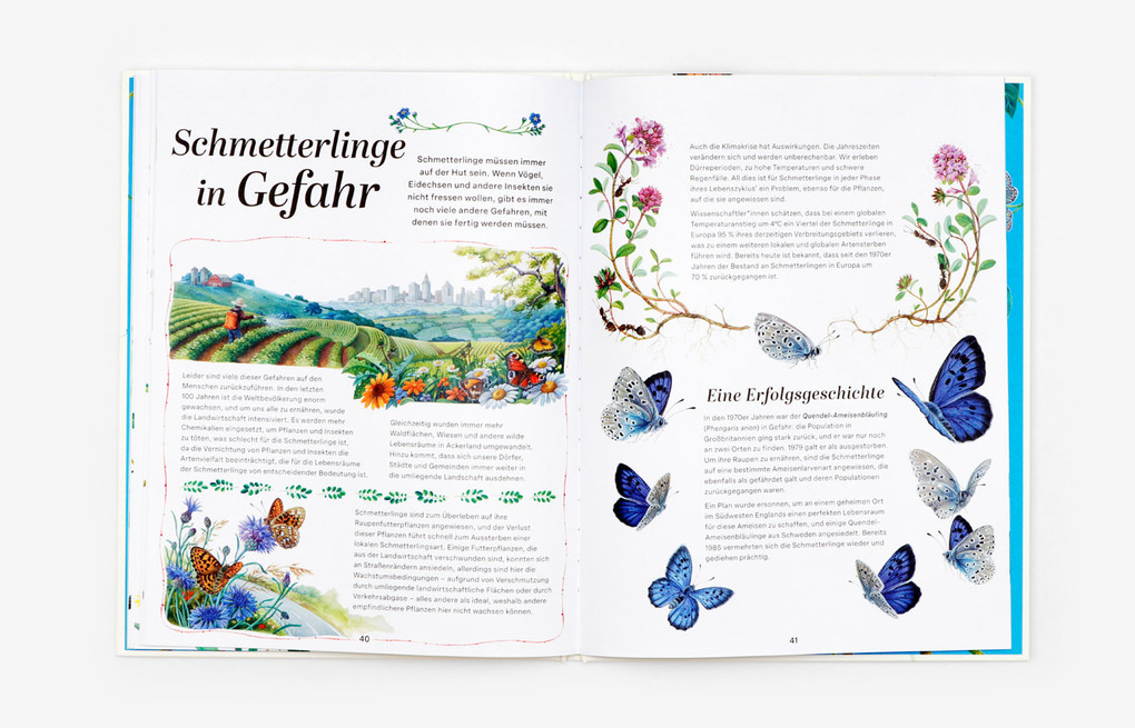 Weitere Ansicht: Schmetterlinge | Jon Dunn