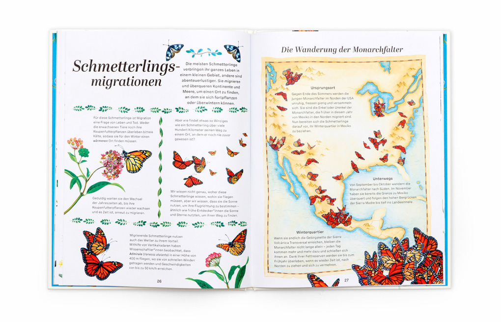 Weitere Ansicht: Schmetterlinge | Jon Dunn