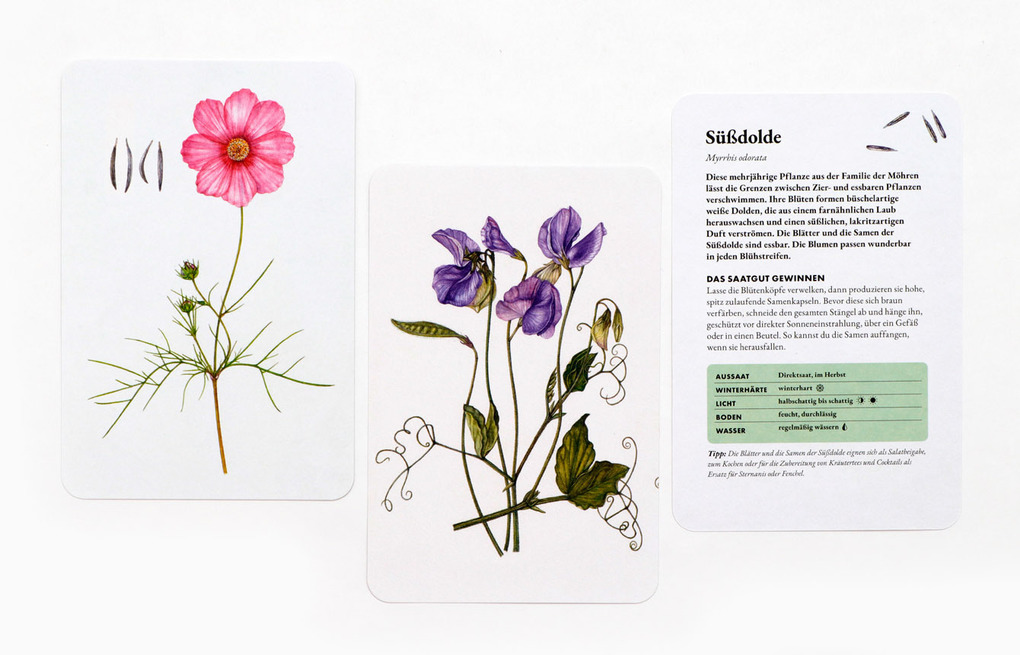 Weitere Ansicht: Das Saatgut-Sammelset | Becky Searle