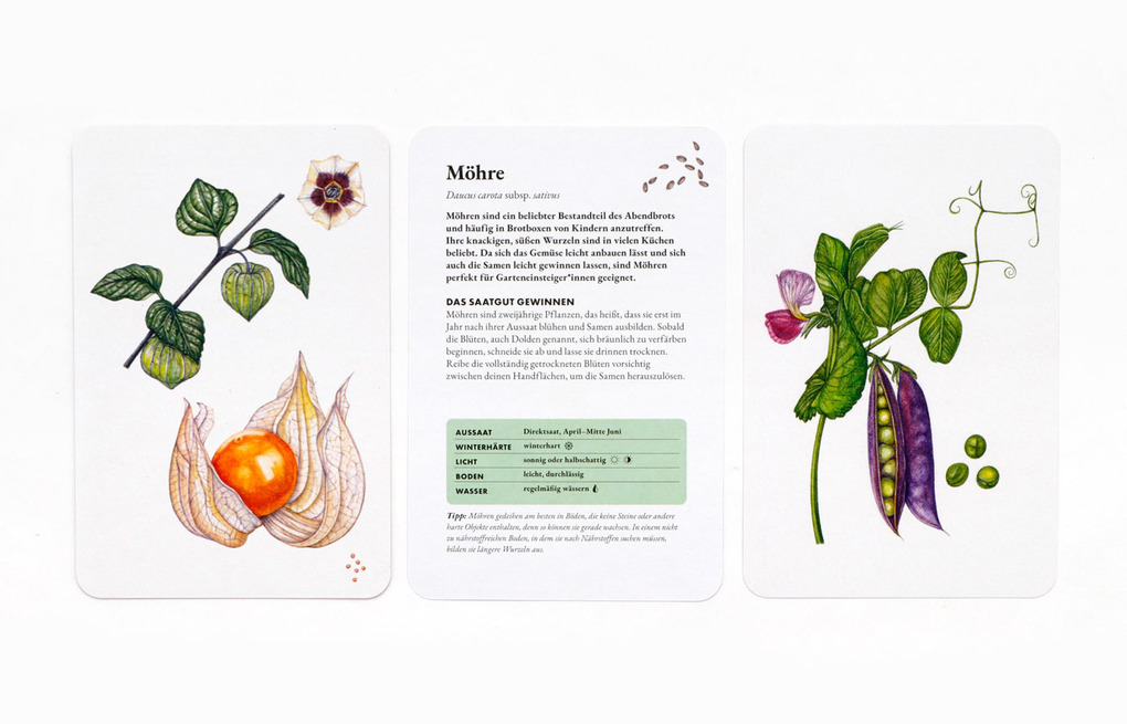 Weitere Ansicht: Das Saatgut-Sammelset | Becky Searle