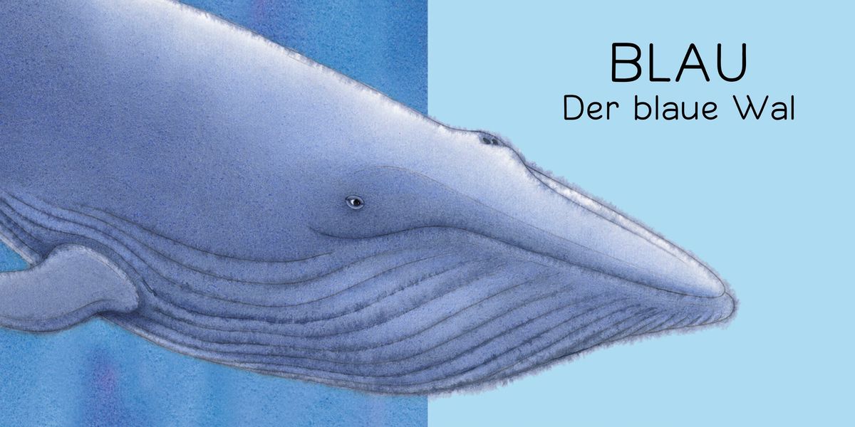 Weitere Ansicht: Der Regenbogenfisch Farben | Marcus Pfister
