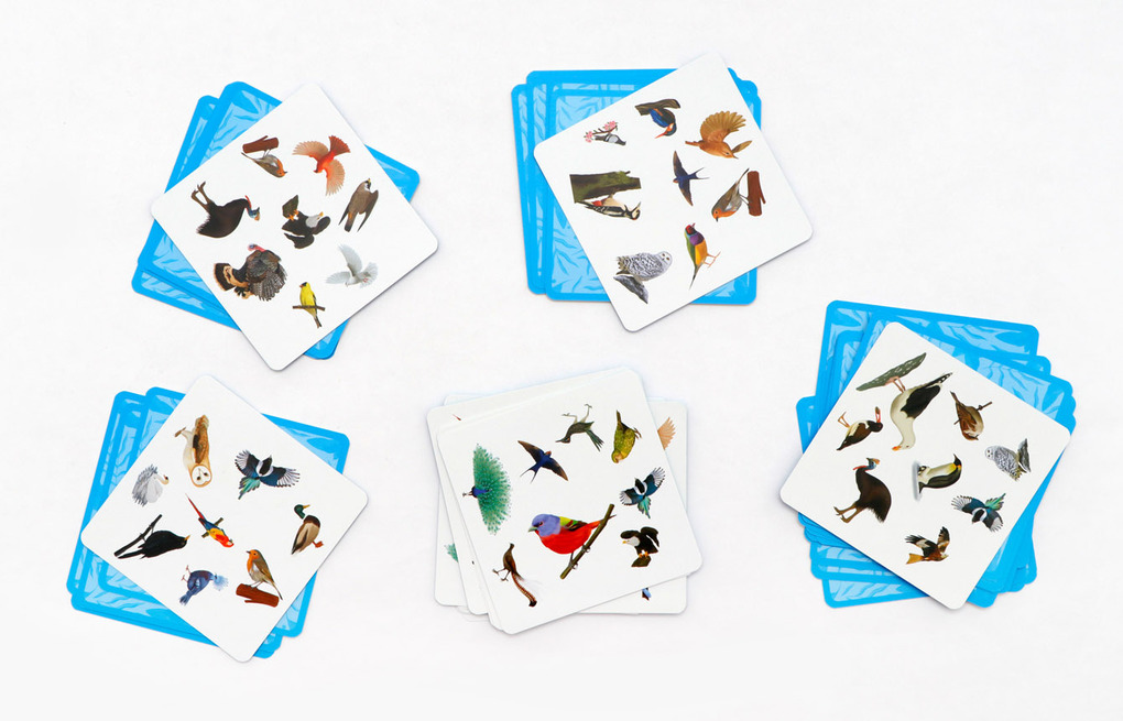 Weitere Ansicht: Finde den Vogel