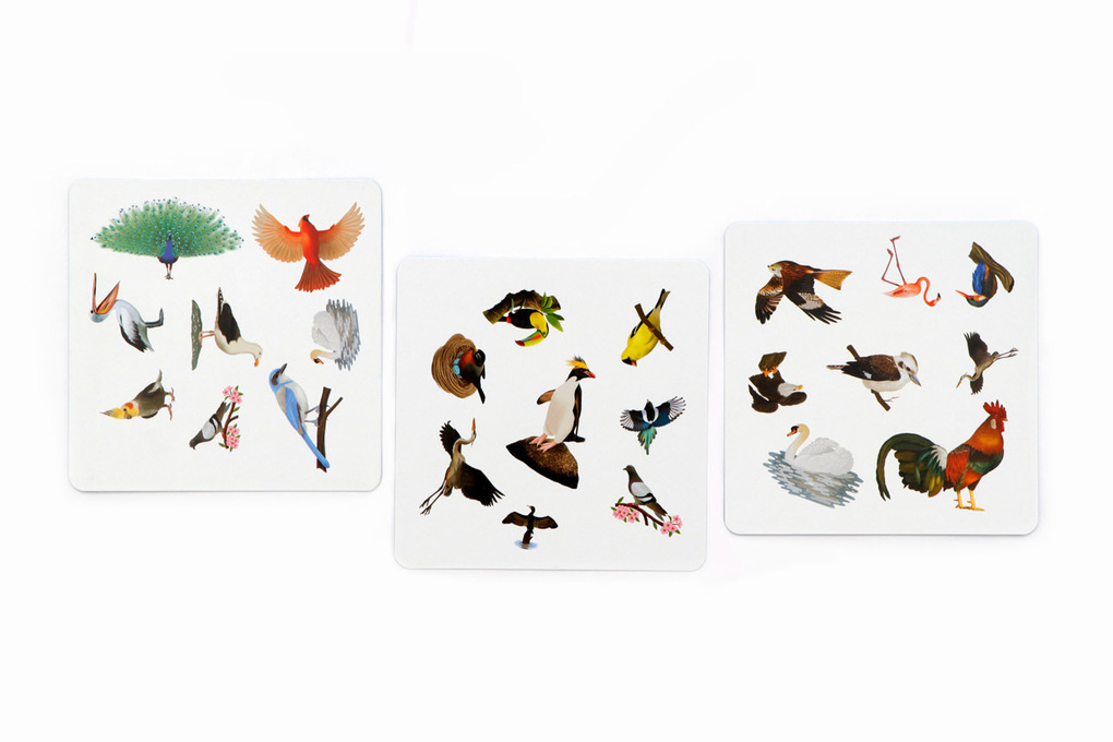 Weitere Ansicht: Finde den Vogel