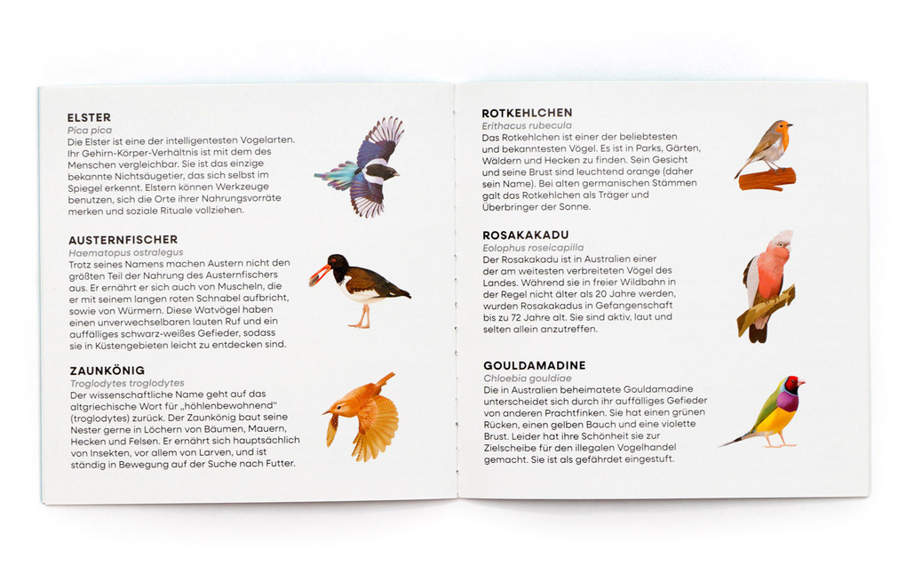 Weitere Ansicht: Finde den Vogel