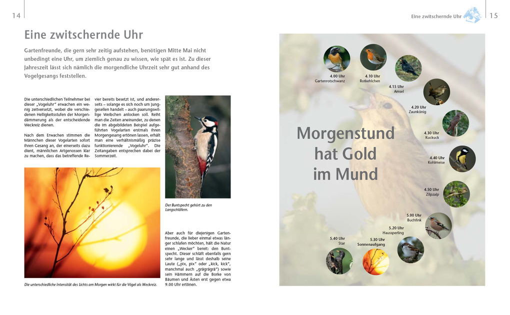 Weitere Ansicht: Vögel zu Gast im Garten - Beobachten, bestimmen, schützen. | Axel Gutjahr