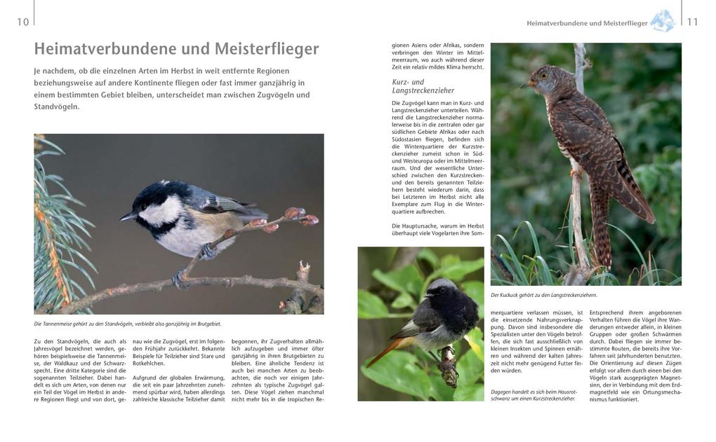 Weitere Ansicht: Vögel zu Gast im Garten - Beobachten, bestimmen, schützen. | Axel Gutjahr