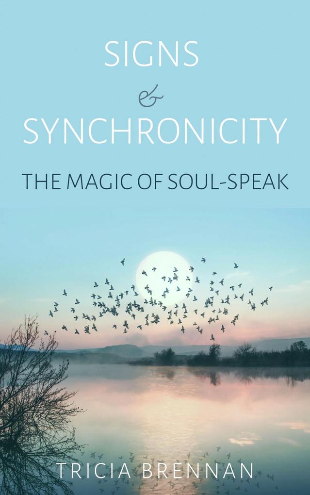 Produktbild: Signs & Synchronicity - The Magic of Soul Speak | Tricia Brennan