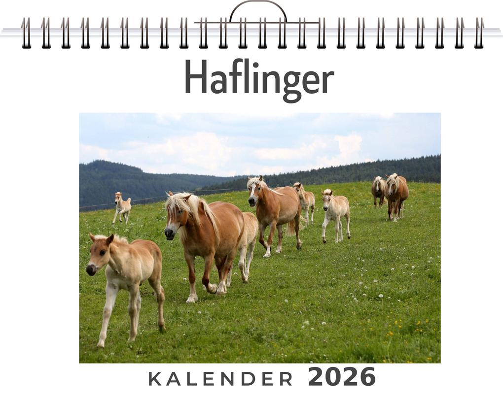 Produktbild: Haflinger | Liam Neumann
