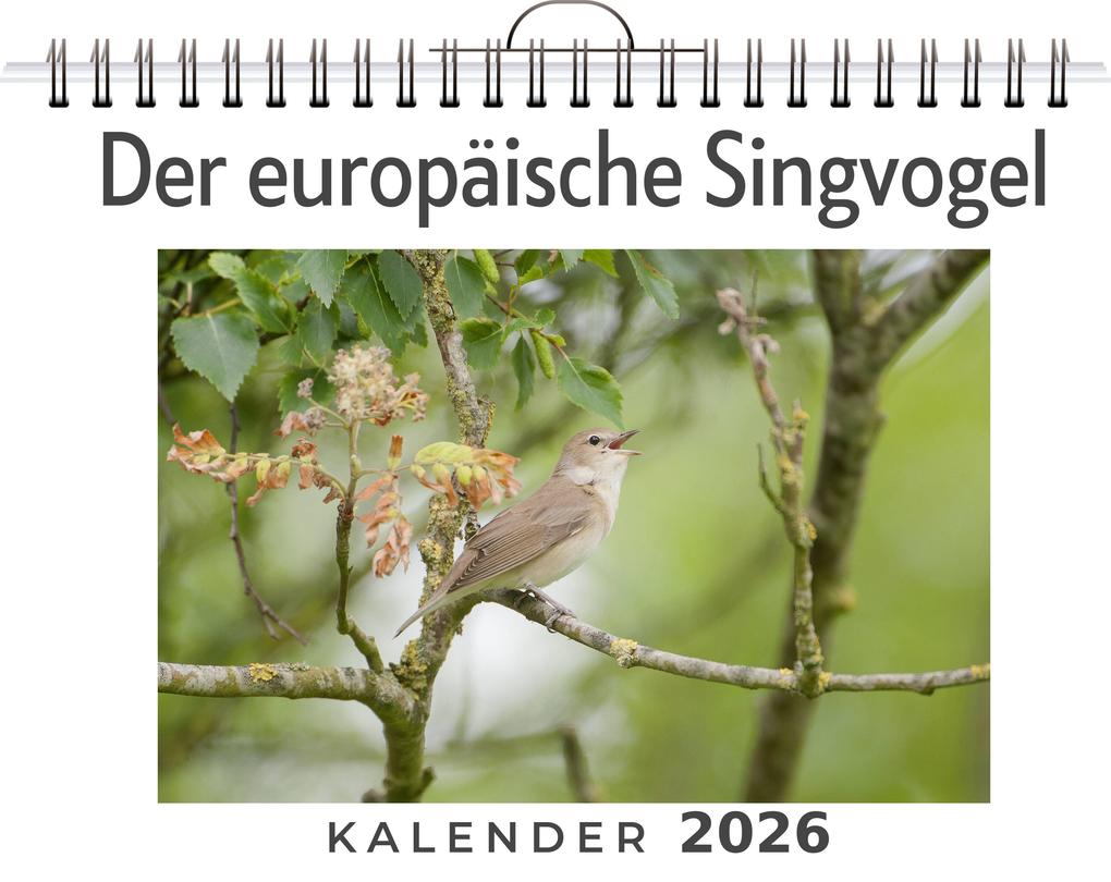 Produktbild: Der europäische Singvogel | Nora Lange