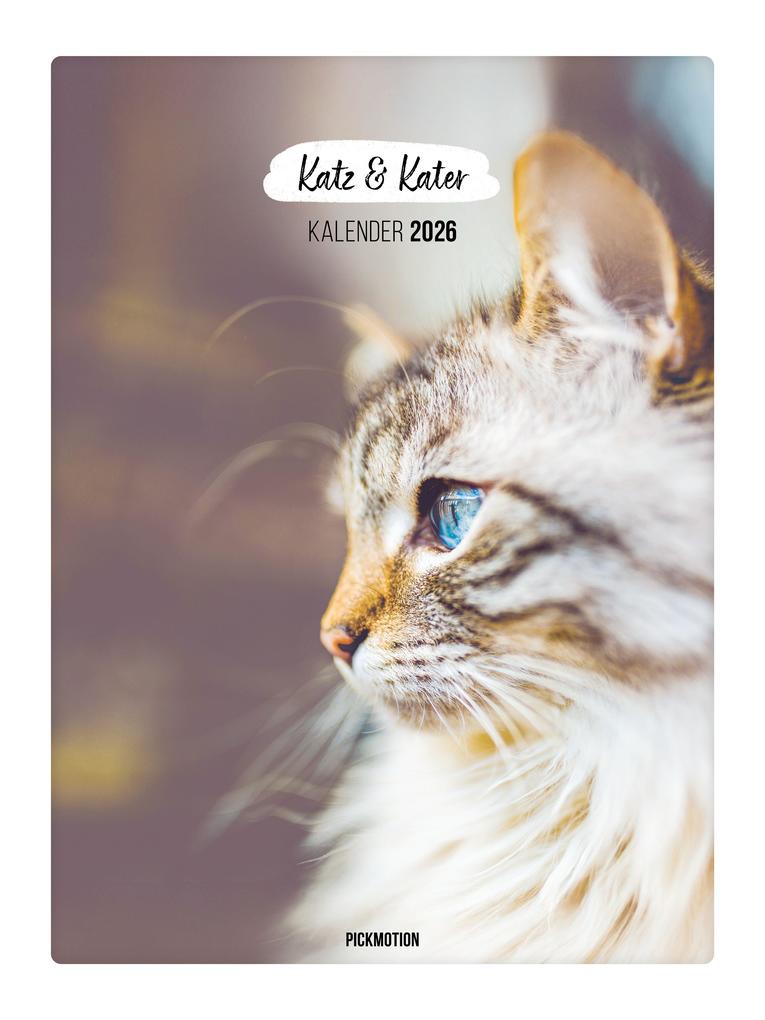 Produktbild: Wandkalender 2026 - Katz & Kater
