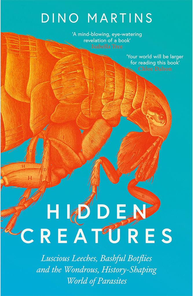 Produktbild: Hidden Creatures | Dino Martins