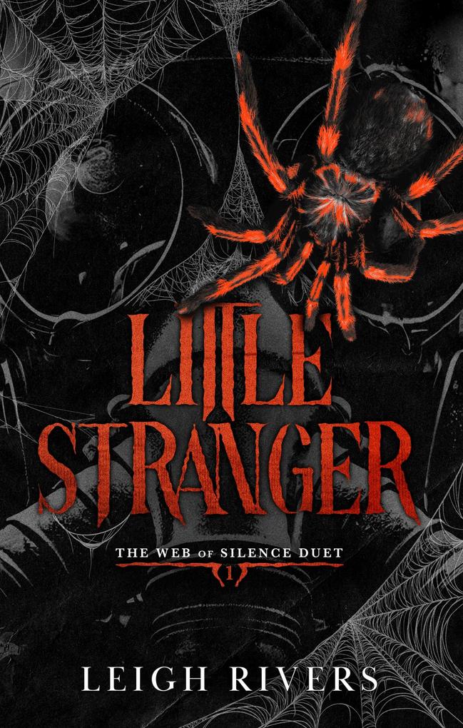 Produktbild: Little Stranger | Leigh Rivers