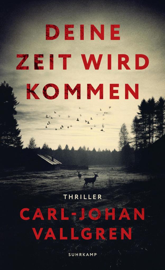 Produktbild: Deine Zeit wird kommen | Carl-Johan Vallgren