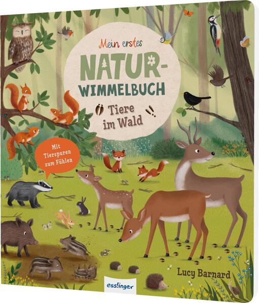 Produktbild: Tiere im Wald | Sibylle Schumann