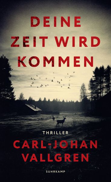 Produktbild: Deine Zeit wird kommen | Carl-Johan Vallgren