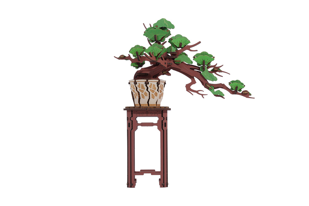 Produktbild: Evergreen Pine Bonsai