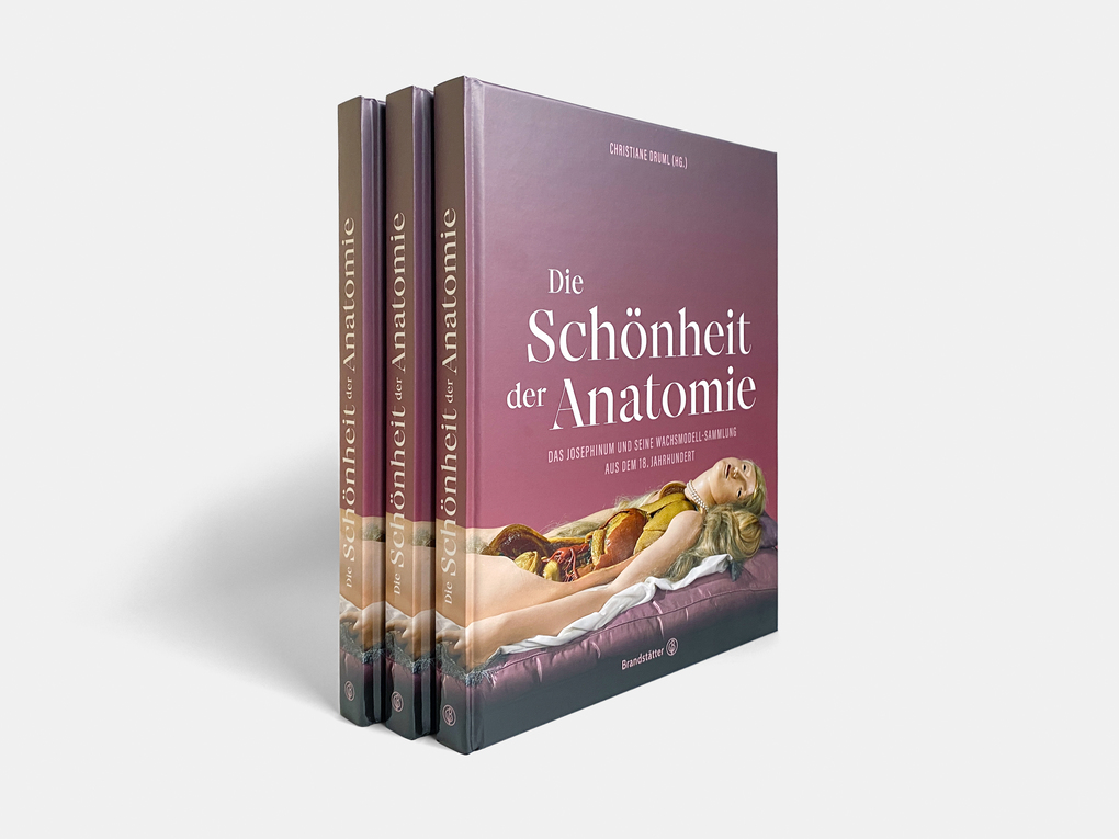 Weitere Ansicht: Die Schönheit der Anatomie
