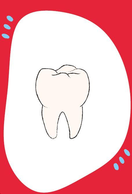 Weitere Ansicht: Wortschatzkärtchen: Körper | Esther Zulauf