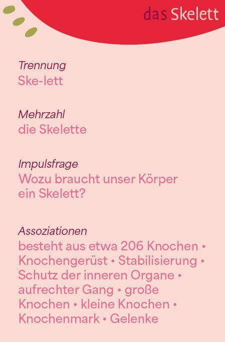Weitere Ansicht: Wortschatzkärtchen: Körper | Esther Zulauf