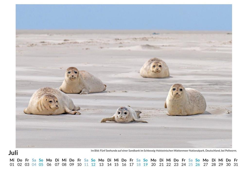 Weitere Ansicht: Schleswig-Holstein | Alice Bauer