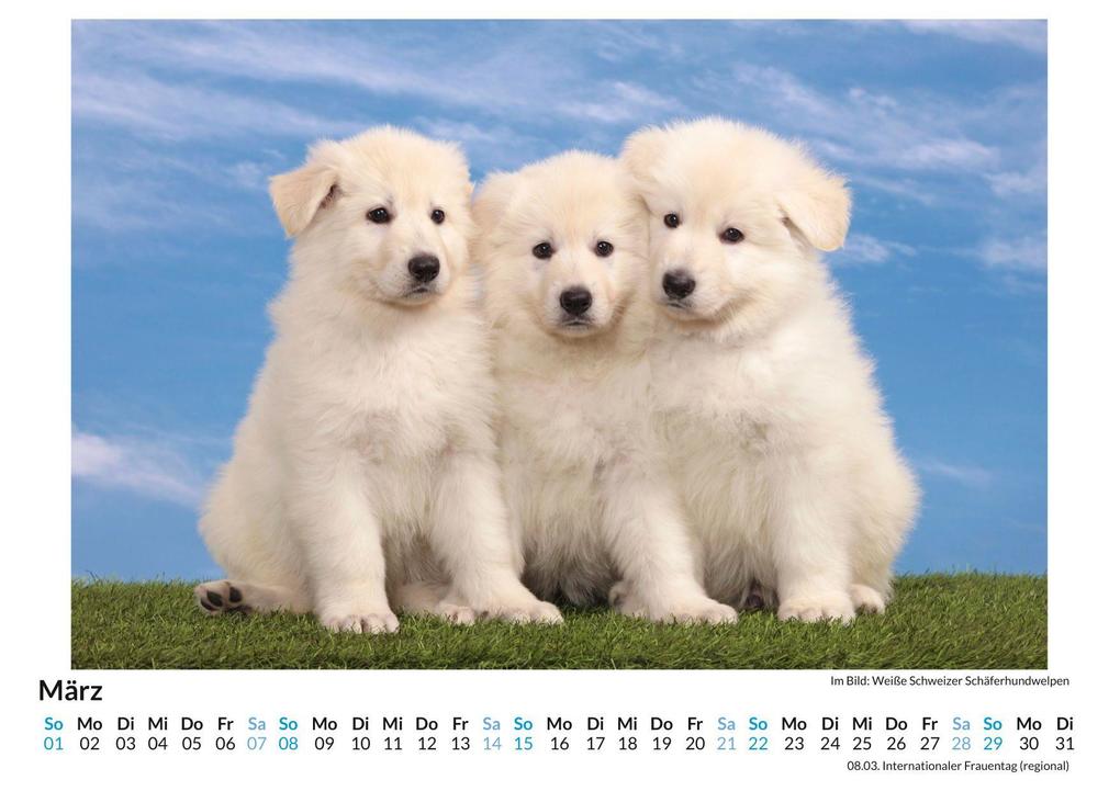 Weitere Ansicht: Berger Blanc Suisse | Finn Hartmann