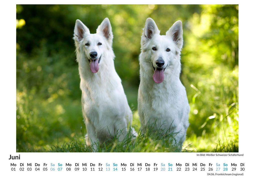 Weitere Ansicht: Berger Blanc Suisse | Finn Hartmann