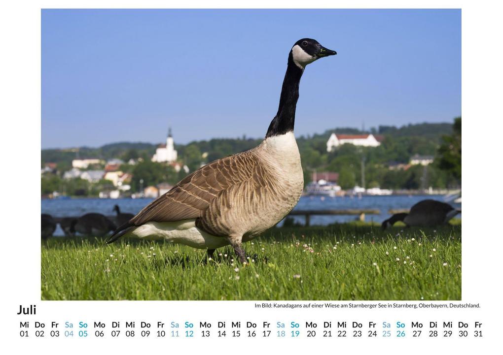 Weitere Ansicht: Starnberger See | Amelia Bauer