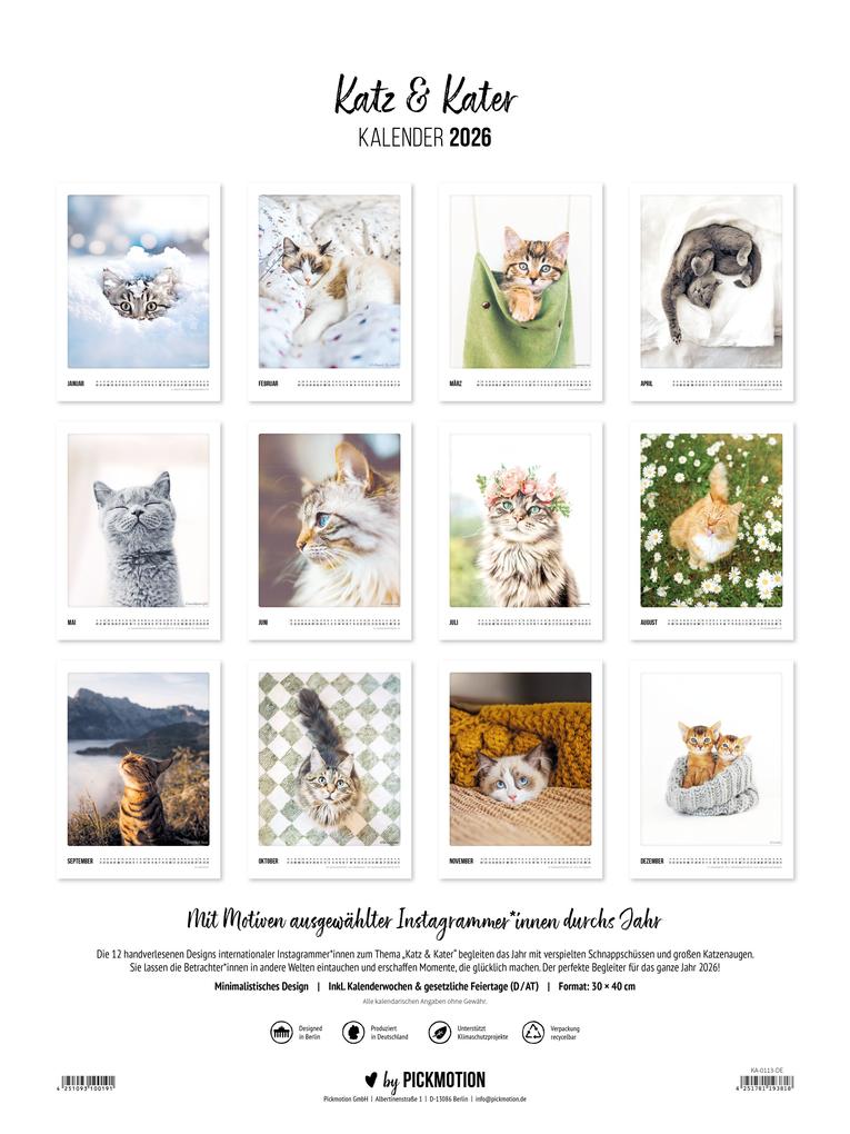 Weitere Ansicht: Wandkalender 2026 - Katz & Kater
