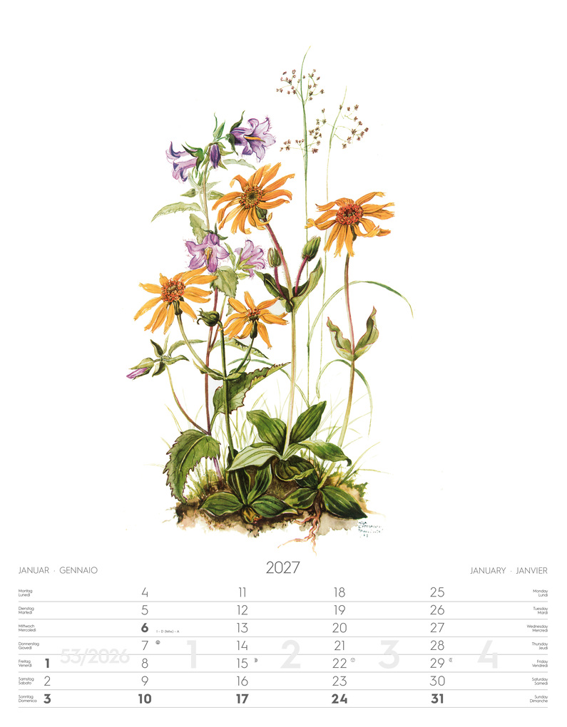 Weitere Ansicht: Alpenblumen-Aquarelle Kalender 2027