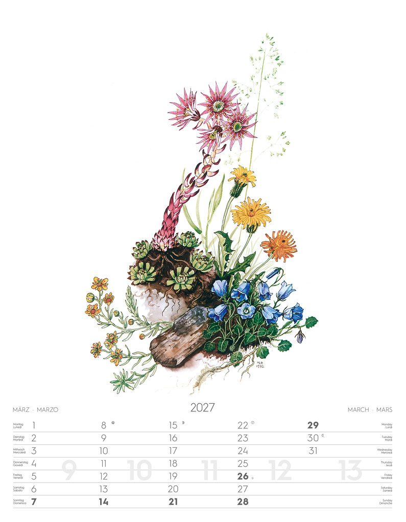 Weitere Ansicht: Alpenblumen-Aquarelle Kalender 2027