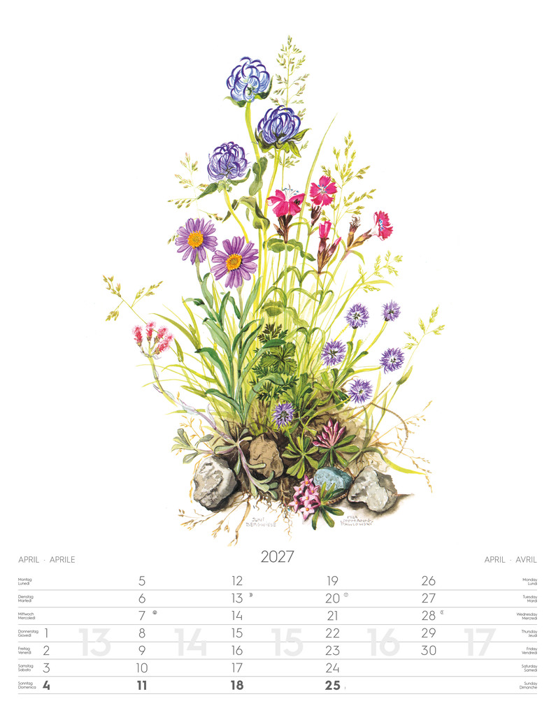 Weitere Ansicht: Alpenblumen-Aquarelle Kalender 2027