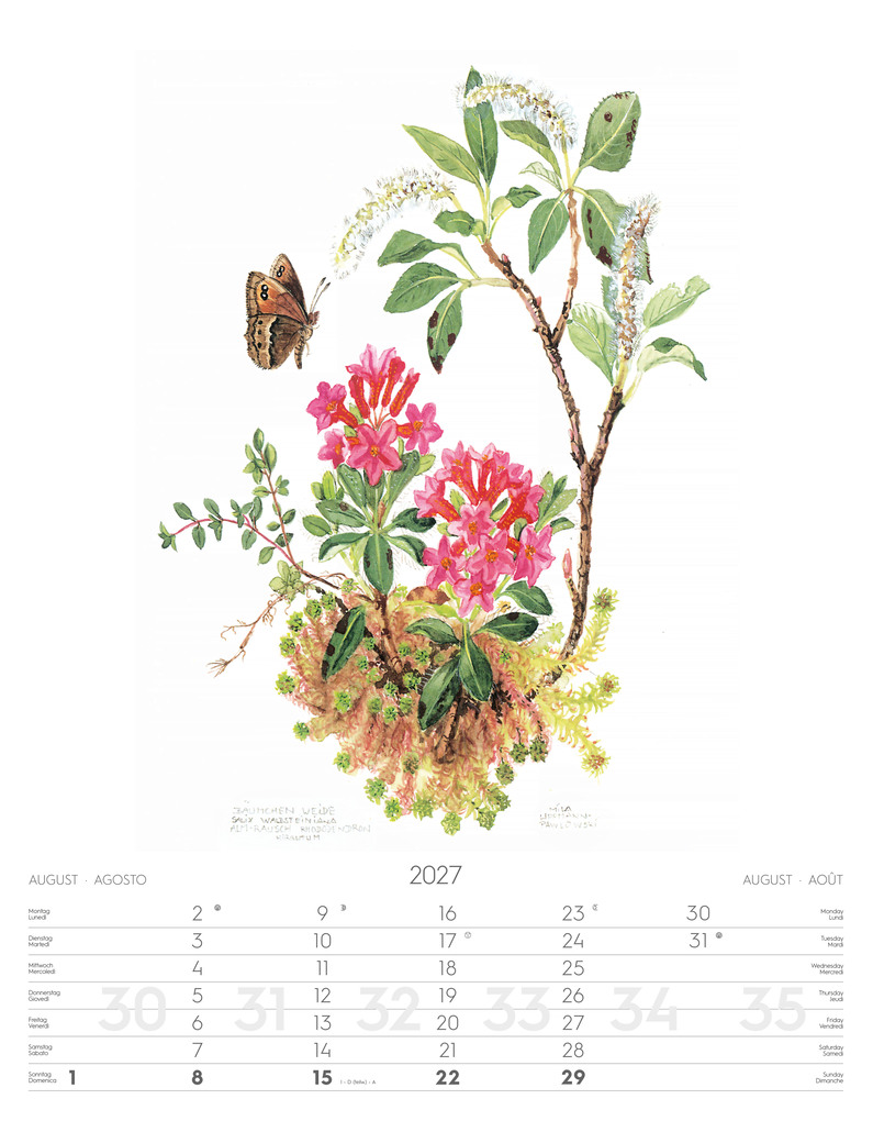 Weitere Ansicht: Alpenblumen-Aquarelle Kalender 2027