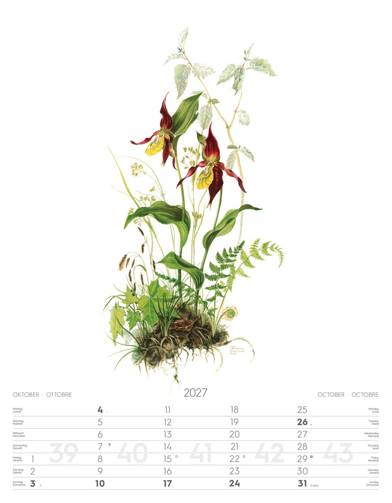 Weitere Ansicht: Alpenblumen-Aquarelle Kalender 2027