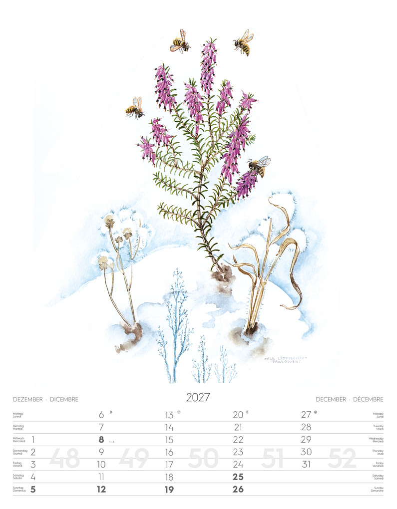 Weitere Ansicht: Alpenblumen-Aquarelle Kalender 2027